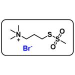 MTSPT [3-(Trimethylammonium)propyl methanethiosulfonate bromide]