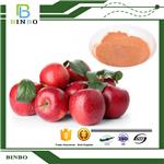 Apple polyphenol