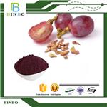 Grape Seed Extract OPC