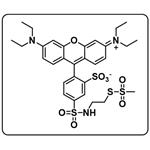 MTSR [Sulfo-rhodamine methanethiosulfonate]