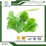 Centella asiatica extract