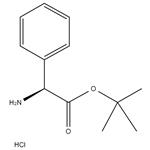 H-Phg-OtBu.HCl