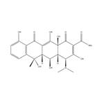 Oxytetracycline Base