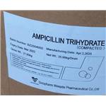 Ampicillin