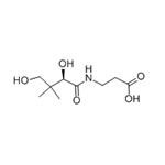 79-83-4 D-PANTOTHENIC ACID