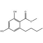 Lipase