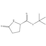 L-Pyr-OtBu