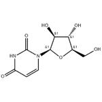 1-beta-D-Arabinofuranosyluracil