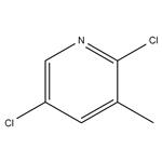 	2,5-DICHLORO-3-PICOLINE