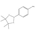 4-Aminophenylboronic acid pinacol ester