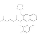 Afatinib (BIBW 2992)