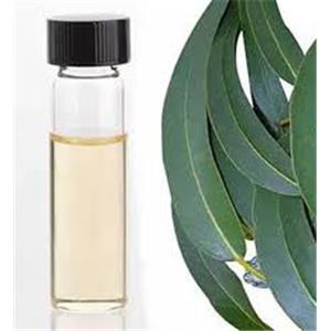 Eucalyptus oil