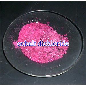 Cobalt Chloride Hexahydrate