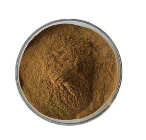 Rosemary Extract Carnosic Acid Powder