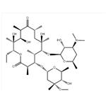 114-07-8 Erythromycin