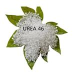 Urea