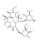 Erythromycin Oxime