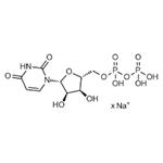 Cangrelor tetrasodium