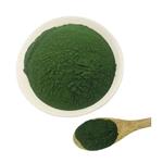 Spirulina Powder