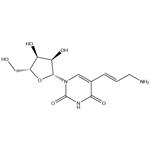 5-(3-amino-1-propenyl)uridine