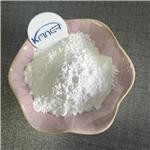 Carboxymethyl cellulose / CMC