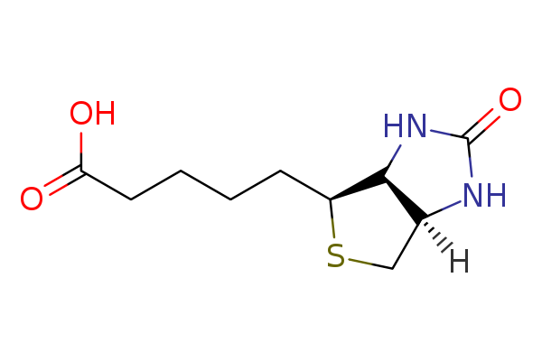 D-(+)-Biotin