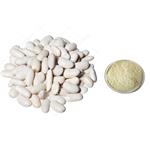 White kidney bean extract