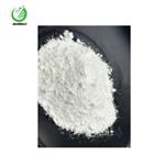 1317-70-0 TITANIUM DIOXIDE