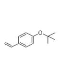 4-tert-Butoxystyrene