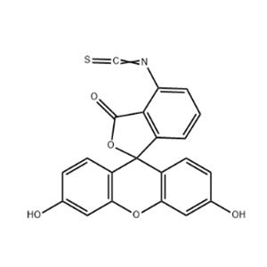 3',6'-Dihydroxy-6-isothiocyanatospiro[isobenzofuran-1(3H),9'-[9H]xanthen]-3-one