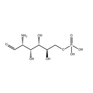 D-GLUCOSAMINE 6-PHOSPHATE