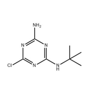 TERBUTHYLAZINE-DESETHYL