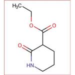 3-CARBETHOXY-2-PIPERIDONE