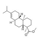 	DIHYDROABIETIC ACID METHYL ESTER pictures