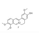 Jatrorrhizine