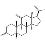 5β-Pregna-3,11,20-trione