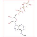 N6-Methyladenosine 5'-triphosphate