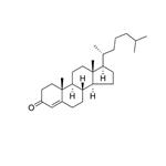 Cholesterol-M1