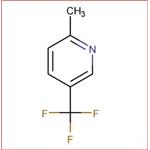 2-METHYL-5-(TRIFLUOROMETHYL)PYRIDINE