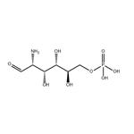 D-GLUCOSAMINE 6-PHOSPHATE