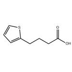 4-(2-Thienyl)butyric acid