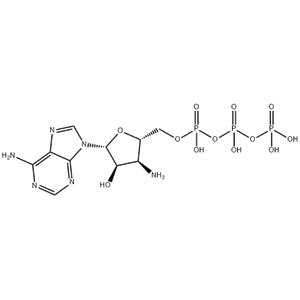 cis-2,5-Dimethyl-pyrrolidine hydrochloride