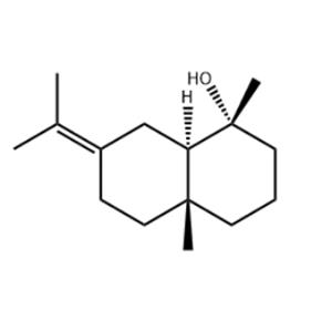 juniper camphor