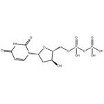 2'-deoxyuridine-5'-diphosphate