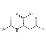 CARBAMOYL-DL-ASPARTIC ACID pictures