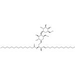 C16 Lactosylceramide