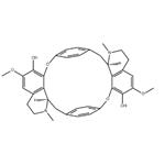 Isochondrodendrine