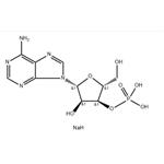 3'-ADENYLIC ACID SODIUM SALT