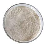 9010-10-0 Soy protein isolate