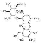 Bekanamycin